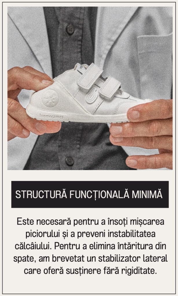 Mesa de trabajo 4 copia 32@2x-80