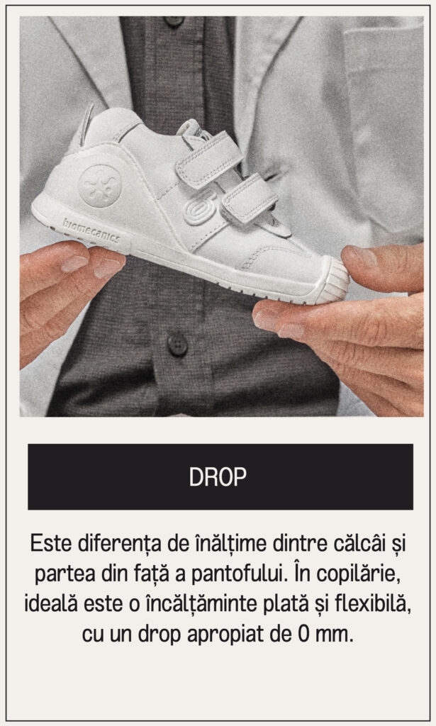 Mesa de trabajo 4 copia 33@2x-80