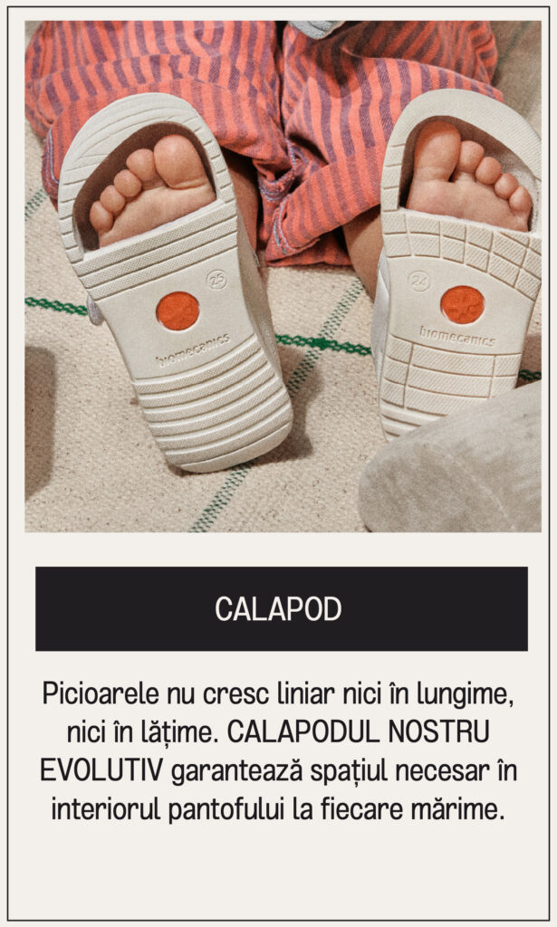 Mesa de trabajo 4 copia 34@2x-80