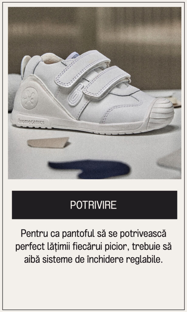 Mesa de trabajo 4 copia 35@2x-80