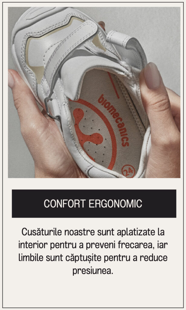 Mesa de trabajo 4 copia 36@2x-80