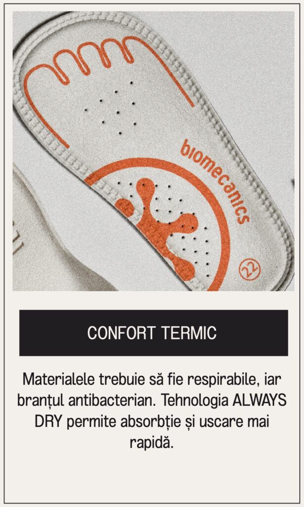 Mesa de trabajo 4 copia 37@2x-80