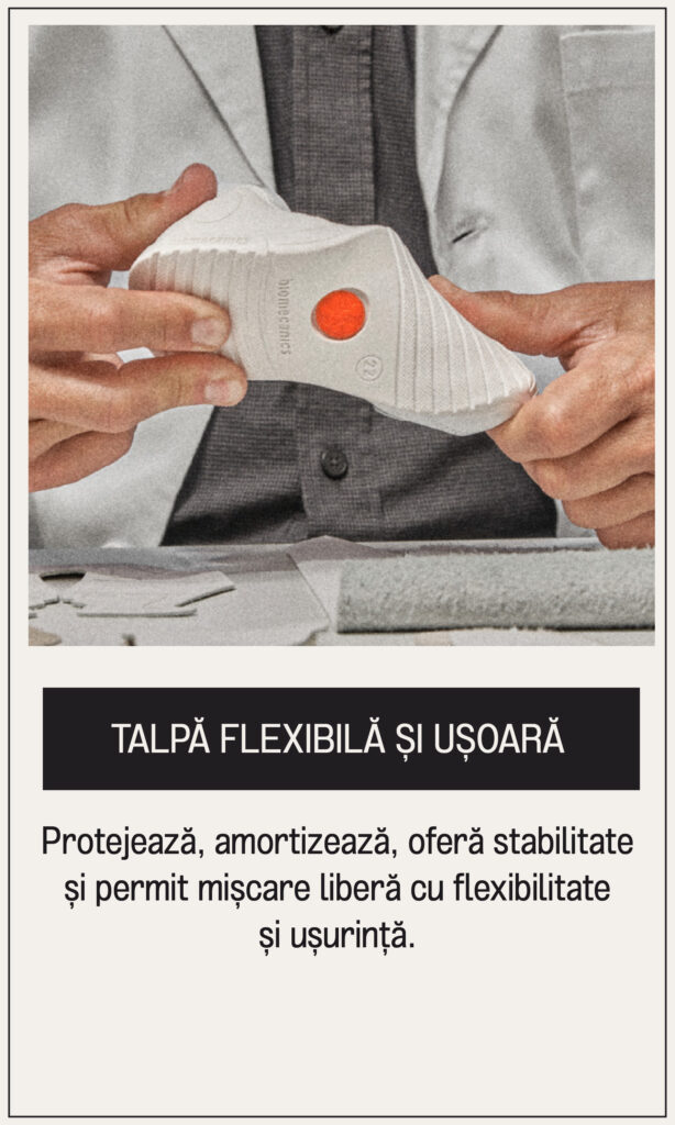 Mesa de trabajo 4 copia 39@2x-80